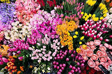 Stadia关闭在即 开发商公布《杀手3》存档转移细节