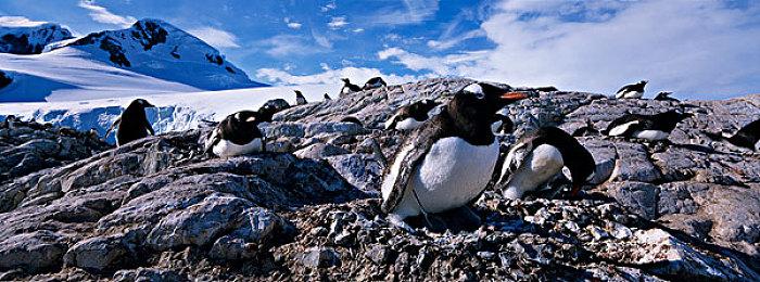 《刺客信条：幻景》最新跑酷实机 动作行云流水